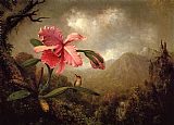 Orchid and Hummingbird near a Mountain Waterfall by Martin Johnson Heade